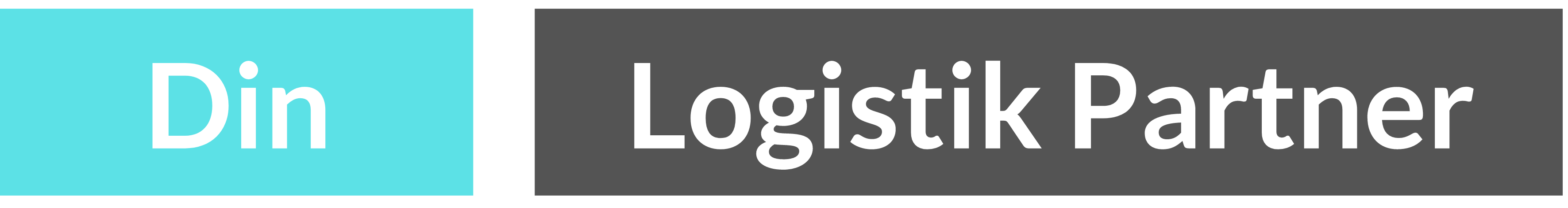 Din Logistik Partner